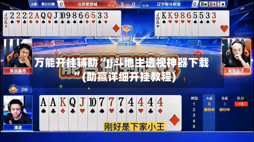 万能开挂辅助“JJ斗地主透视神器下载”(助赢详细开挂教程)-第3张图片