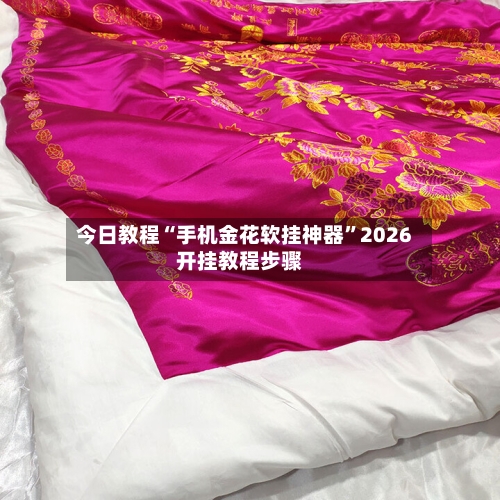 今日教程“手机金花软挂神器”2026开挂教程步骤-第2张图片