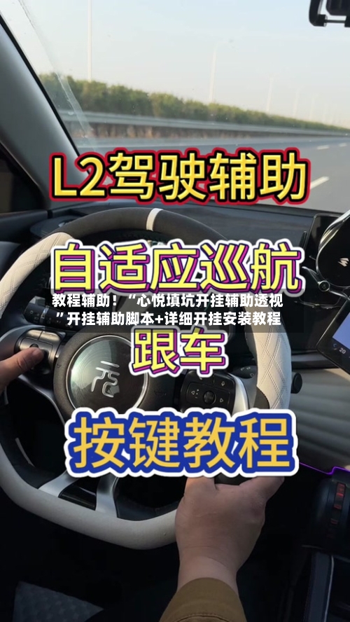 教程辅助！“心悦填坑开挂辅助透视”开挂辅助脚本+详细开挂安装教程-第2张图片