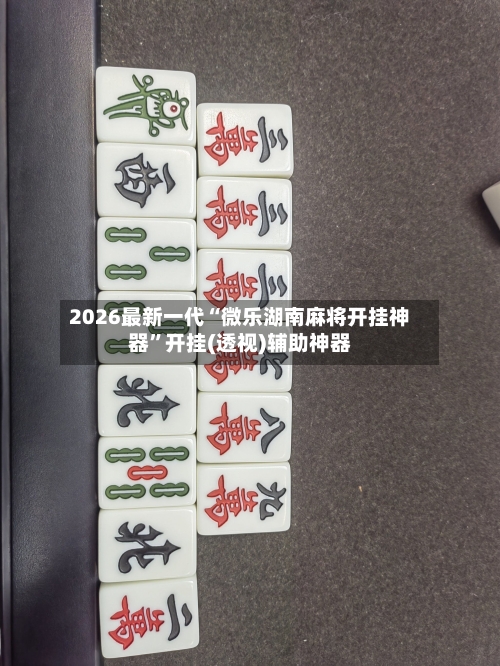 2026最新一代“微乐湖南麻将开挂神器”开挂(透视)辅助神器-第2张图片