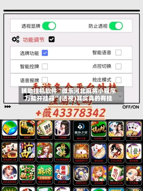 辅助挂机软件“微乐河北麻将小程序万能开挂器”(透视)其实真的有挂-第2张图片