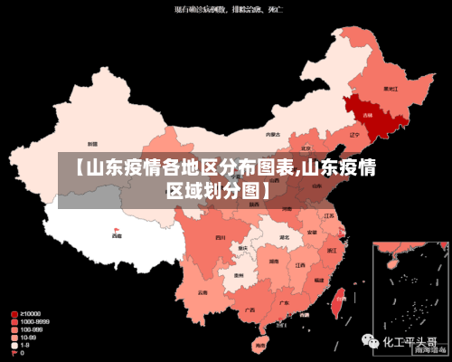 【山东疫情各地区分布图表,山东疫情区域划分图】-第2张图片