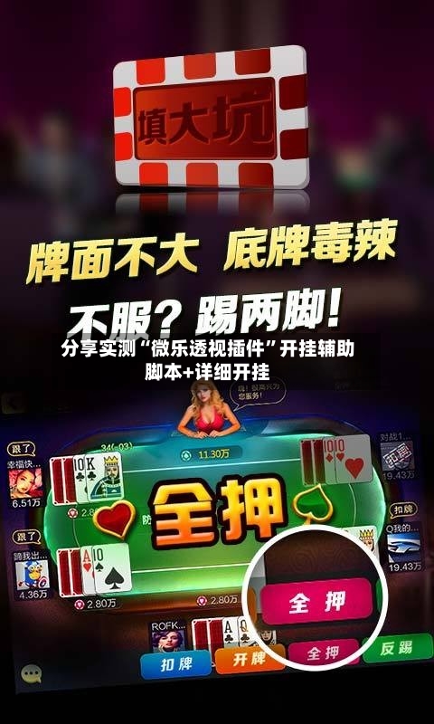 分享实测“微乐透视插件”开挂辅助脚本+详细开挂-第2张图片