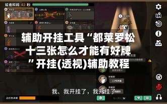 辅助开挂工具“都莱罗松十三张怎么才能有好牌”开挂(透视)辅助教程-第2张图片