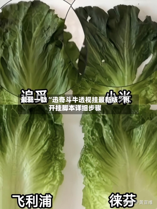 最新一款“迅奇斗牛透视挂最新版”附开挂脚本详细步骤