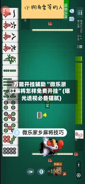 万能开挂辅助“微乐浙江麻将怎样免费开挂”(曝光透视必备猫腻)-第2张图片