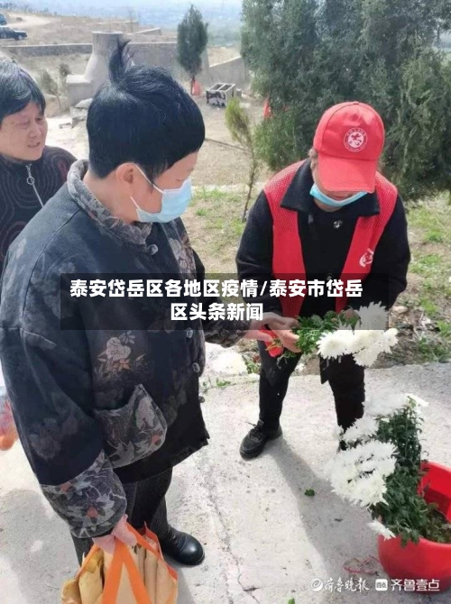 泰安岱岳区各地区疫情/泰安市岱岳区头条新闻-第2张图片