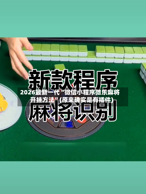 2026最新一代“微信小程序微乐麻将开挂方法	”(原来确实是有插件)-第2张图片