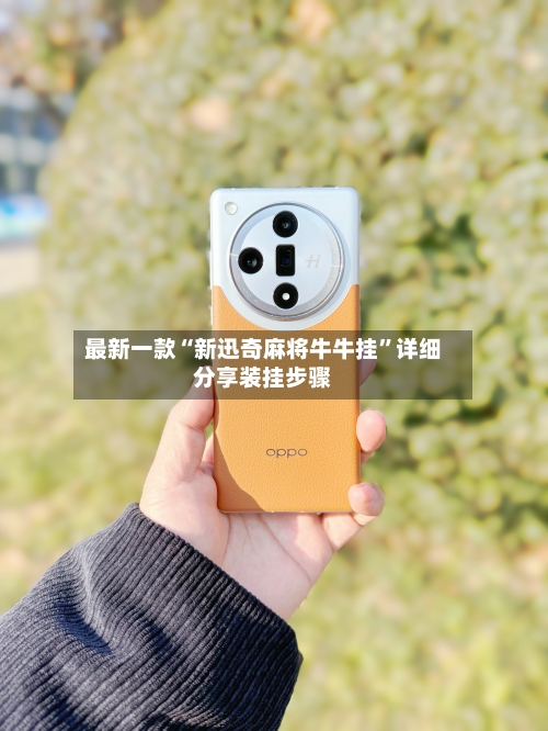 最新一款“新迅奇麻将牛牛挂	”详细分享装挂步骤-第2张图片