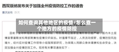 如何查询其他地区的疫情/怎么查一个地方的疫情防控