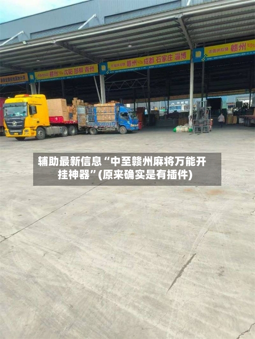 辅助最新信息“中至赣州麻将万能开挂神器”(原来确实是有插件)-第3张图片