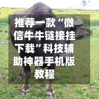 推荐一款“微信牛牛链接挂下载	”科技辅助神器手机版教程-第2张图片