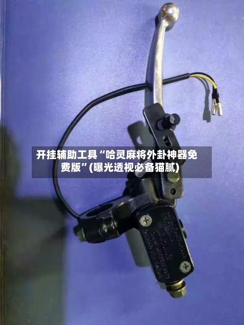 开挂辅助工具“哈灵麻将外卦神器免费版”(曝光透视必备猫腻)-第2张图片