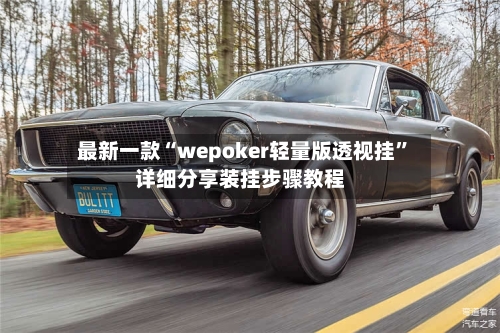最新一款“wepoker轻量版透视挂”详细分享装挂步骤教程