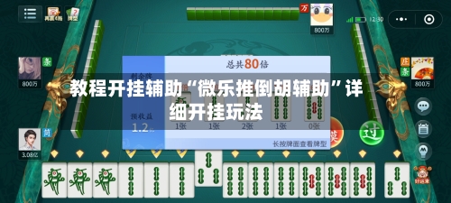 教程开挂辅助“微乐推倒胡辅助”详细开挂玩法-第3张图片