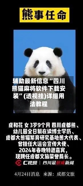 辅助最新信息“四川熊猫麻将软件下载安装	”(透视挂)详细用法教程-第3张图片