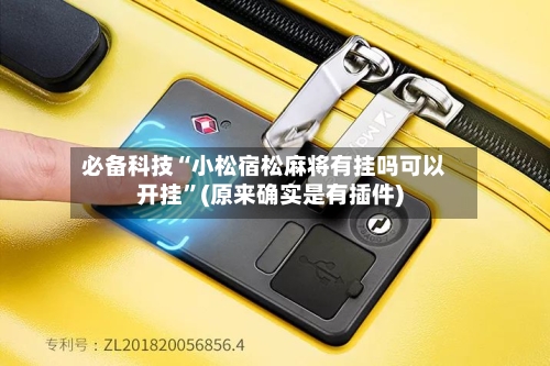 必备科技“小松宿松麻将有挂吗可以开挂”(原来确实是有插件)-第2张图片