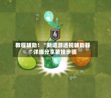 教程辅助！“新道游透视辅助器”详细分享装挂步骤