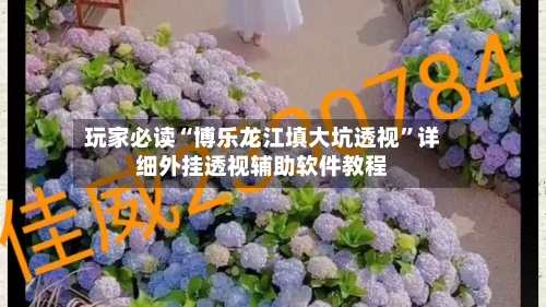 玩家必读“博乐龙江填大坑透视”详细外挂透视辅助软件教程-第3张图片