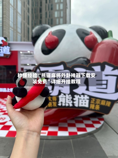 秒懂经验“熊猫麻将外卦神器下载安装免费”详细开挂教程