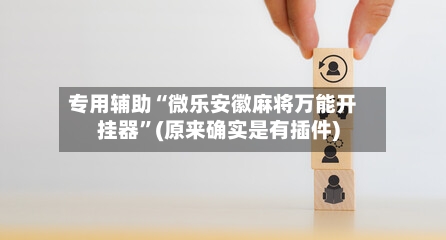 专用辅助“微乐安徽麻将万能开挂器”(原来确实是有插件)