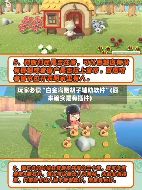 玩家必读“白金岛跑胡子辅助软件”(原来确实是有插件)-第2张图片