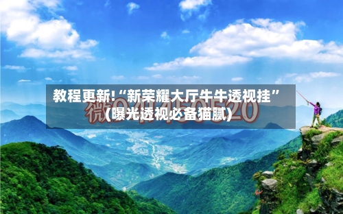 教程更新!“新荣耀大厅牛牛透视挂”(曝光透视必备猫腻)