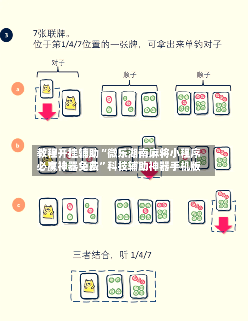 教程开挂辅助“微乐湖南麻将小程序必赢神器免费	”科技辅助神器手机版-第2张图片