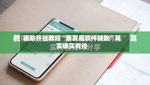 辅助开挂教程“朋友局软件辅助”其实确实有挂-第3张图片