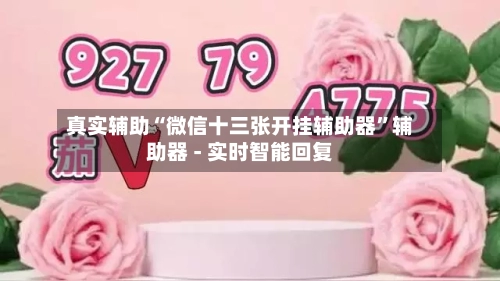 真实辅助“微信十三张开挂辅助器	”辅助器 - 实时智能回复-第2张图片