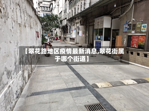 【翠花路地区疫情最新消息,翠花街属于哪个街道】