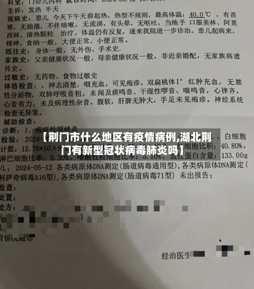 【荆门市什么地区有疫情病例,湖北荆门有新型冠状病毒肺炎吗】-第3张图片