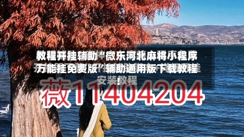 教程开挂辅助“微乐河北麻将小程序万能挂免费版”辅助通用版下载教程！-第2张图片
