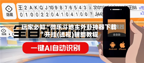 玩家必知“微乐斗地主外卦神器下载”开挂(透视)辅助教程-第2张图片