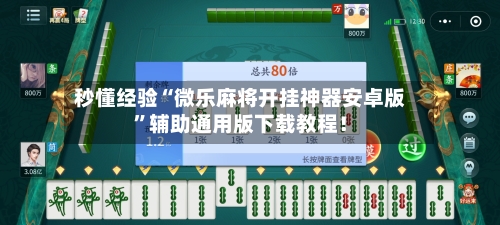 秒懂经验“微乐麻将开挂神器安卓版”辅助通用版下载教程！-第3张图片