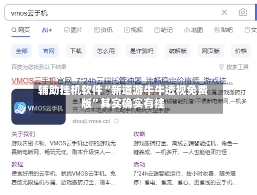 辅助挂机软件“新道游牛牛透视免费版”其实确实有挂-第2张图片