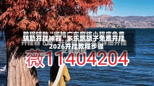 辅助开挂神器“多乐跑胡子免费开挂”2026开挂教程步骤-第3张图片
