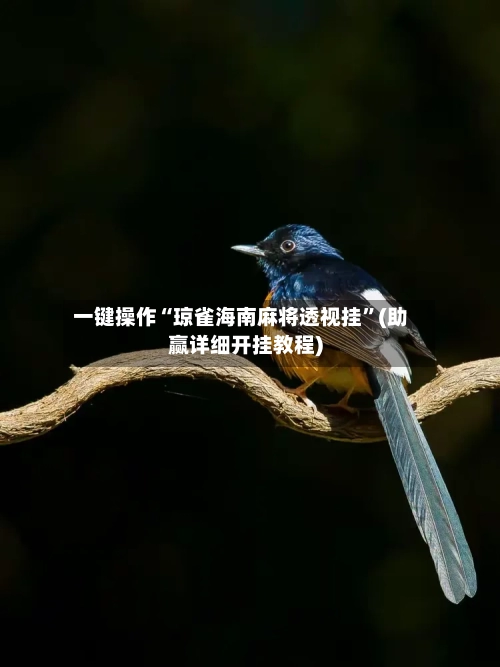 一键操作“琼雀海南麻将透视挂”(助赢详细开挂教程)