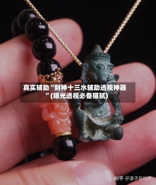 真实辅助“财神十三水辅助透视神器”(曝光透视必备猫腻)-第2张图片