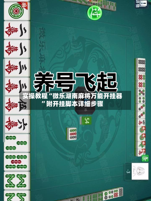 实操教程“微乐湖南麻将万能开挂器”附开挂脚本详细步骤-第2张图片