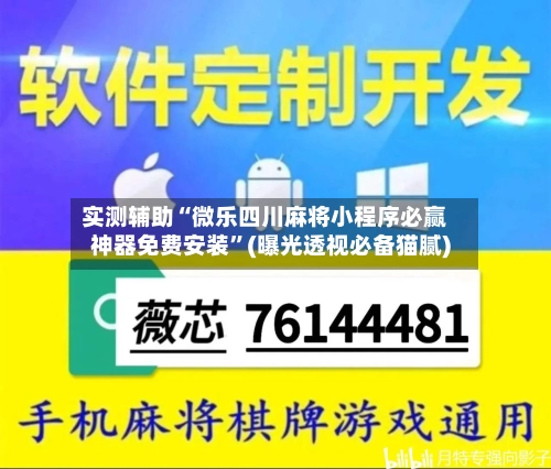 实测辅助“微乐四川麻将小程序必赢神器免费安装	”(曝光透视必备猫腻)-第2张图片