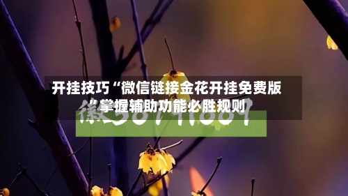 开挂技巧“微信链接金花开挂免费版”掌握辅助功能必胜规则