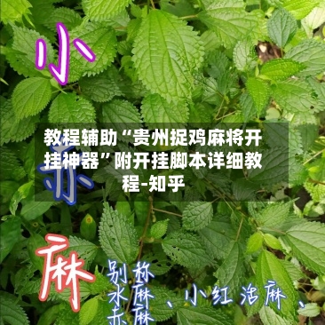 教程辅助“贵州捉鸡麻将开挂神器	”附开挂脚本详细教程-知乎-第2张图片