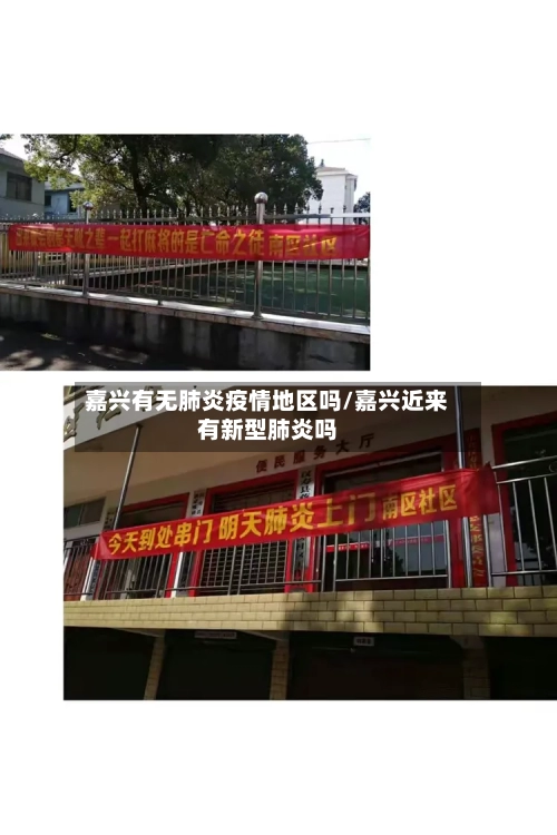 嘉兴有无肺炎疫情地区吗/嘉兴近来有新型肺炎吗-第2张图片