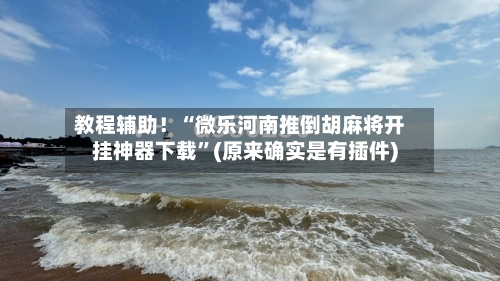 教程辅助！“微乐河南推倒胡麻将开挂神器下载	”(原来确实是有插件)-第2张图片