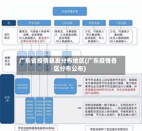 广东省疫情暴发分布地区(广东疫情各区分布公布)