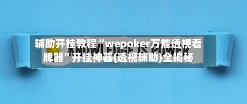 辅助开挂教程“wepoker万能透视看牌器	”开挂神器{透视辅助}全揭秘-第2张图片