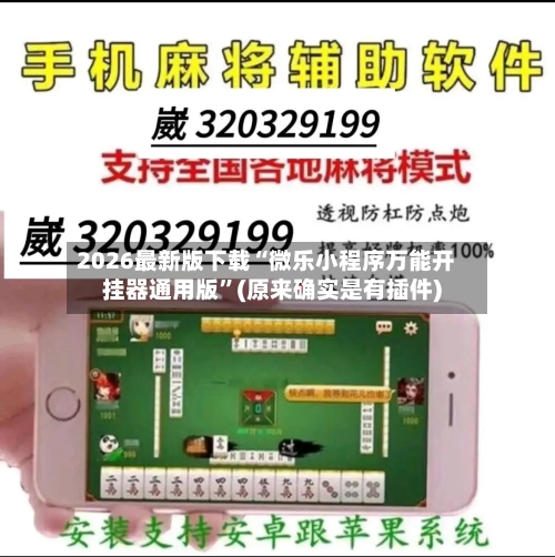 2026最新版下载“微乐小程序万能开挂器通用版”(原来确实是有插件)-第3张图片