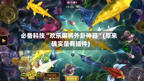 必备科技“欢乐麻将外卦神器”(原来确实是有插件)-第3张图片