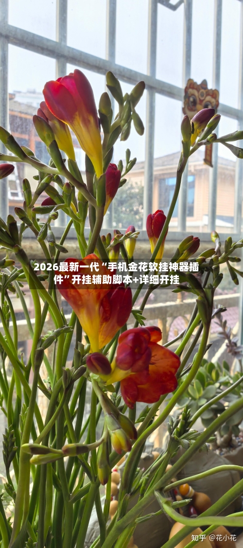 2026最新一代“手机金花软挂神器插件	”开挂辅助脚本+详细开挂-第2张图片